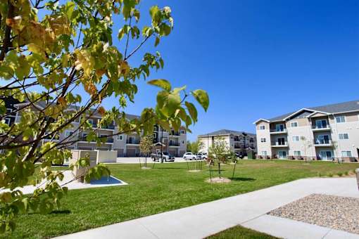A tree with yellow leaves is in the foreground of a residential area with apartment buildings.