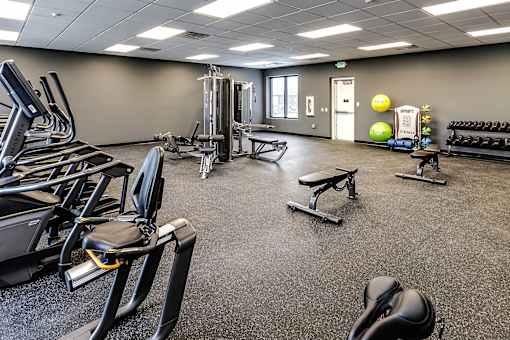 A gym with treadmills, weights, and exercise balls.