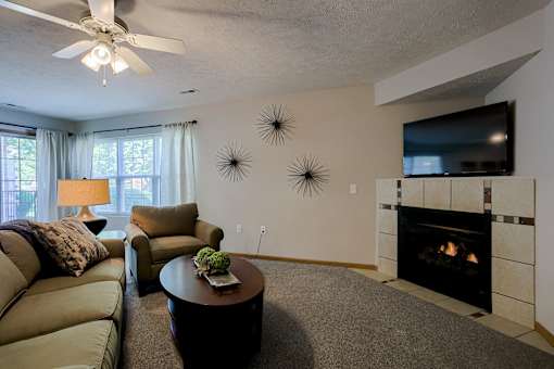 A living room with a fireplace and a television.