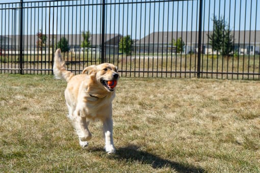 Pet Friendly at Sterling Prairie Trail North in Ankeny, IA