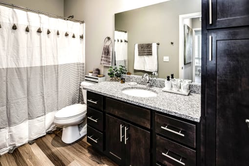 Bathroom at Sterling Prairie Trail North in Ankeny, IA