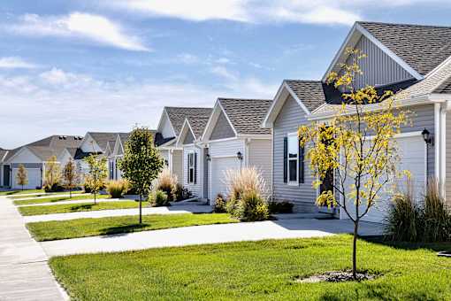 A row of houses with a yellow tree in the front.