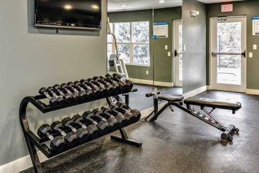 Free Weights at The Vue Apartments, Bellevue, NE