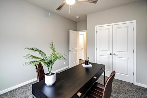 A room with a table and chairs and a plant in a white pot.