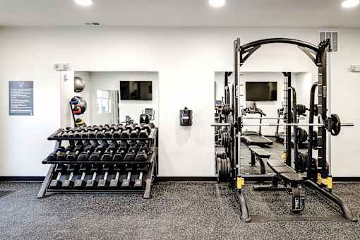 VUE 19 (Fitness Center)  A gym with a variety of equipment including dumbbells and weight machines.