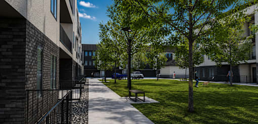 A tree-lined walkway leads to a building entrance.