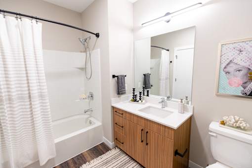 Walnut View Bathroom at Walnut View Apartments, Allentown, PA, 18102