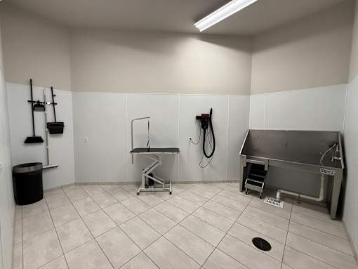 A clean, empty room with a sink and a trash can at The Hive Apartments, Allentown 18101