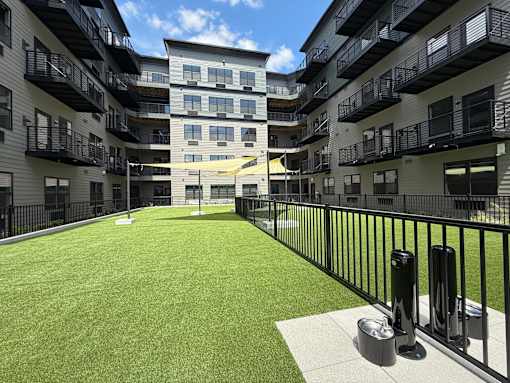 A grassy courtyard is surrounded by apartment buildings.
