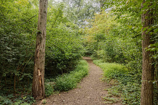 Forest Walkway at Meadows Apartments, Emmaus, PA, 18049