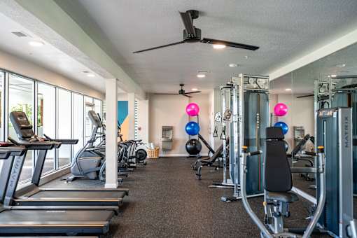 A gym with treadmills, exercise balls, and weight machines.