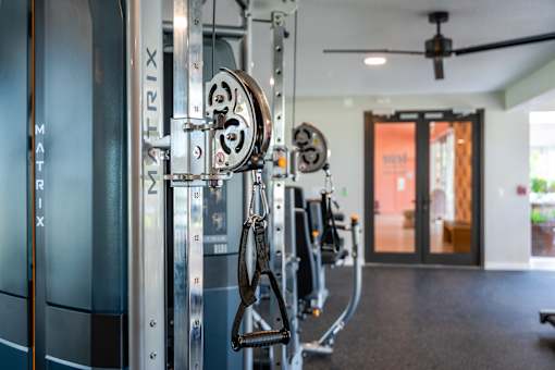 A gym with a row of exercise bikes.