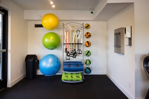 A room with a blue ball, a green ball, a yellow ball, and a rack of exercise equipment. at The Teale Golden Gate in Naples, FL, 34116