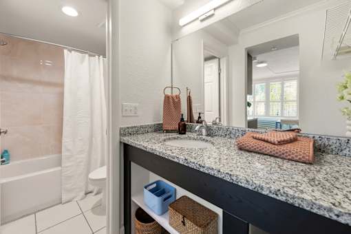 A bathroom with a marble countertop and a large mirror.