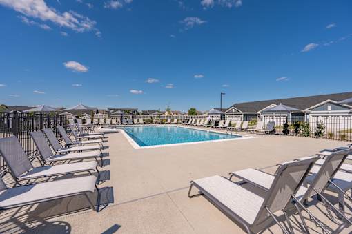 A pool surrounded by sun loungers on a sunny day.