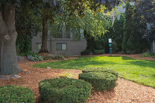 A garden with a green lawn and a building in the background.