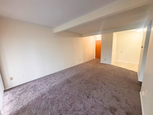 1016 Chester Apartments in Lansing, Michigan Living room
