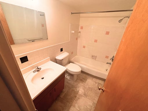 1016 Chester Apartments in Lansing, Michigan bathroom