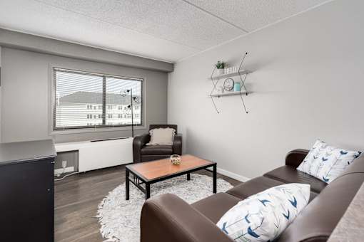 A living room with a brown couch and a black cabinet.