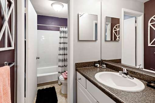 a bathroom with a sink and a shower and a toilet