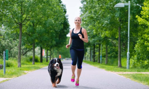 a woman running with her bernese mountain dog