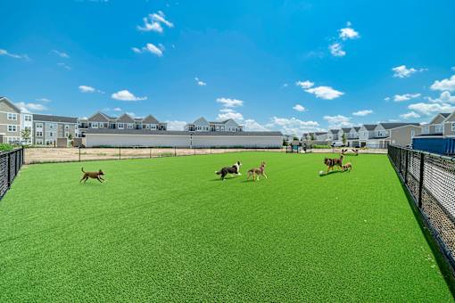 Dog park at Hudsonville, MI Apartments and Townehomes | Elmwood Lake Apartments in Hudsonville MI