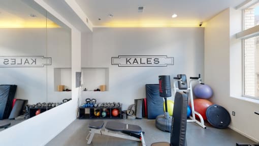 a home gym with weights and cardio equipment
