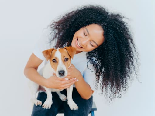 Pet friendly living at Royal Oak, MI Apartments | Main Living Apartments in Royal Oaks, MI