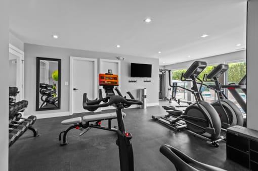 the gym is equipped with state of the art equipment