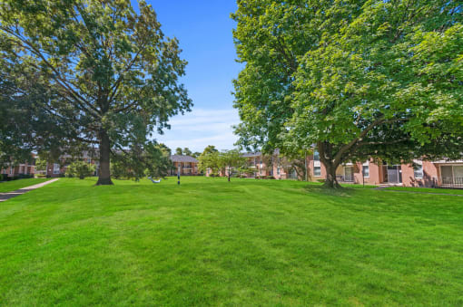 One Bedroom Apartments in Warren, MI