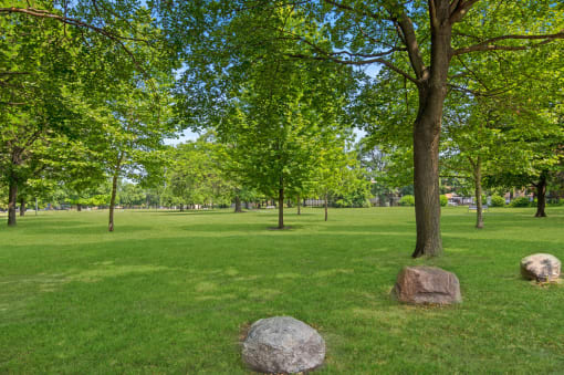 a grassy field with three large rocks in the foreground and trees in the background at Lafayette Park Place, Detroit, MI, Detroit, MI