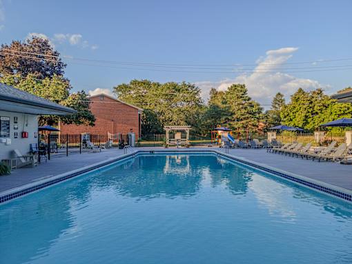 A large swimming pool in a backyard surrounded by trees and a house.