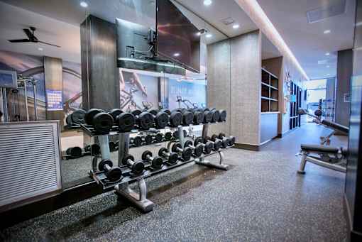 a rack of weights in a gym with a television on the wall