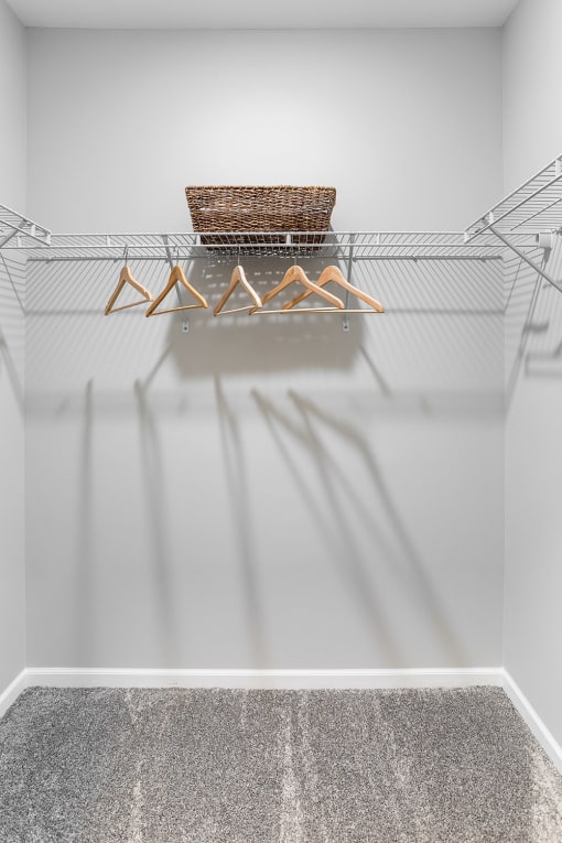 Designer Closets