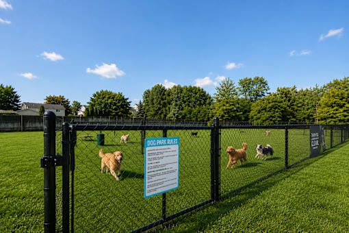 A dog park sign is posted on a fence with several dogs playing in the background. at Park On Canal Apartments - Clinton Twp, MI Apartments, Apartments, Clinton Twp, MI