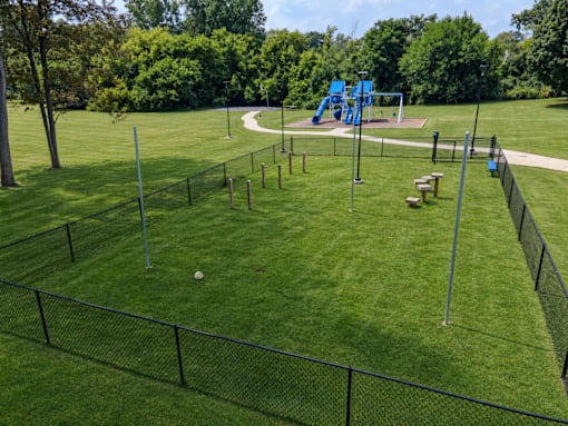 A playground with a blue slide and a green lawn.