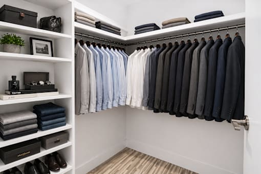 A white closet with a variety of shirts and ties.