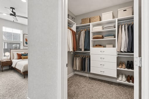 A bedroom with a large closet and a bed.