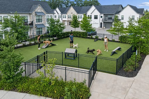 A black fenced dog park with a few dogs playing.