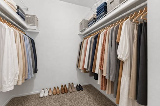 A row of clothes hanging on a rack.