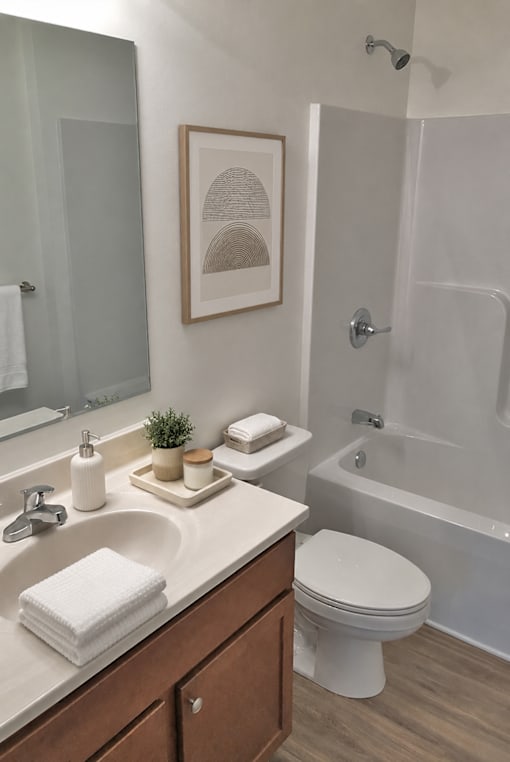 A bathroom with a white toilet, a sink, and a shower.
