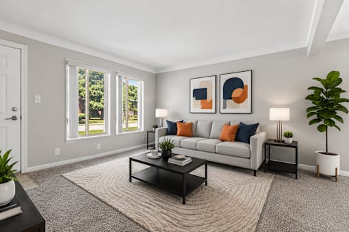A living room with a grey couch, a black coffee table, and a rug.