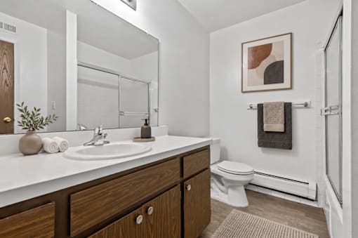 A bathroom with a white countertop and a white toilet.