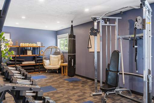 A gym with a variety of equipment including a weight bench, a rowing machine, and a squat rack.