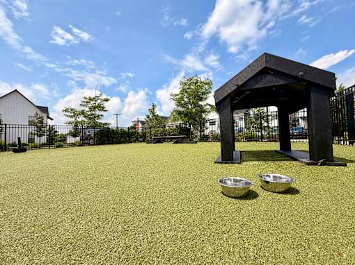 A black structure with two bowls in front of it on a grassy field.