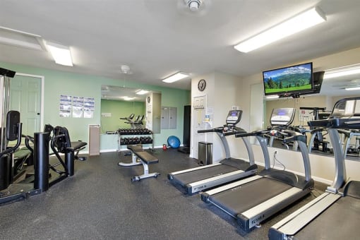 a gym with cardio equipment and a television