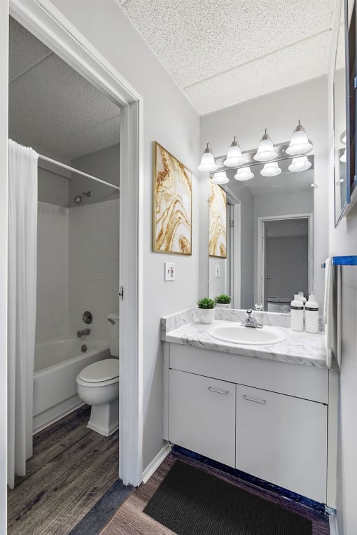 a bathroom with a sink and a toilet and a mirror at Troy Place Apartments - Troy, MI, Michigan