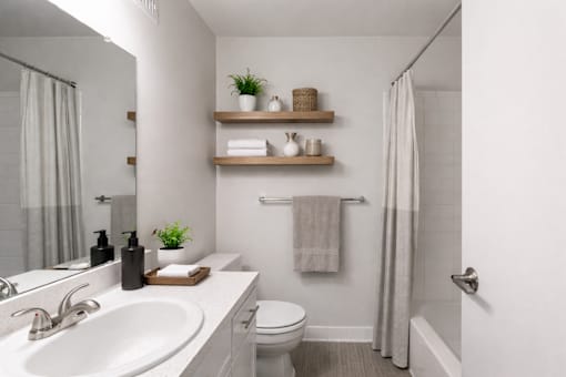 A bathroom with a white sink, toilet, and shelves with towels and plants.