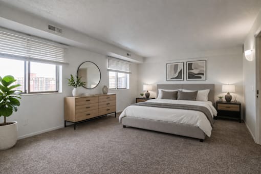 A bedroom with a large bed, a dresser, and a plant.