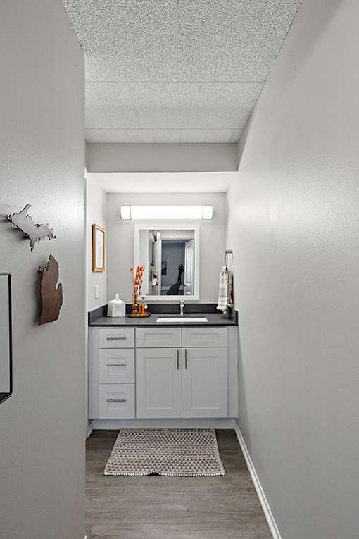 A bathroom with a sink and a mirror.